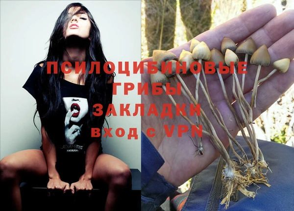 мяу мяу мука Богданович