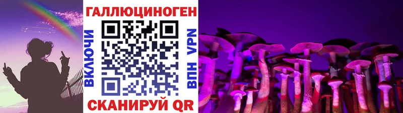 где продают наркотики  Колпашево  Псилоцибиновые грибы Psilocybine cubensis 