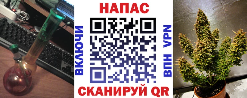 МАРИХУАНА конопля Колпашево